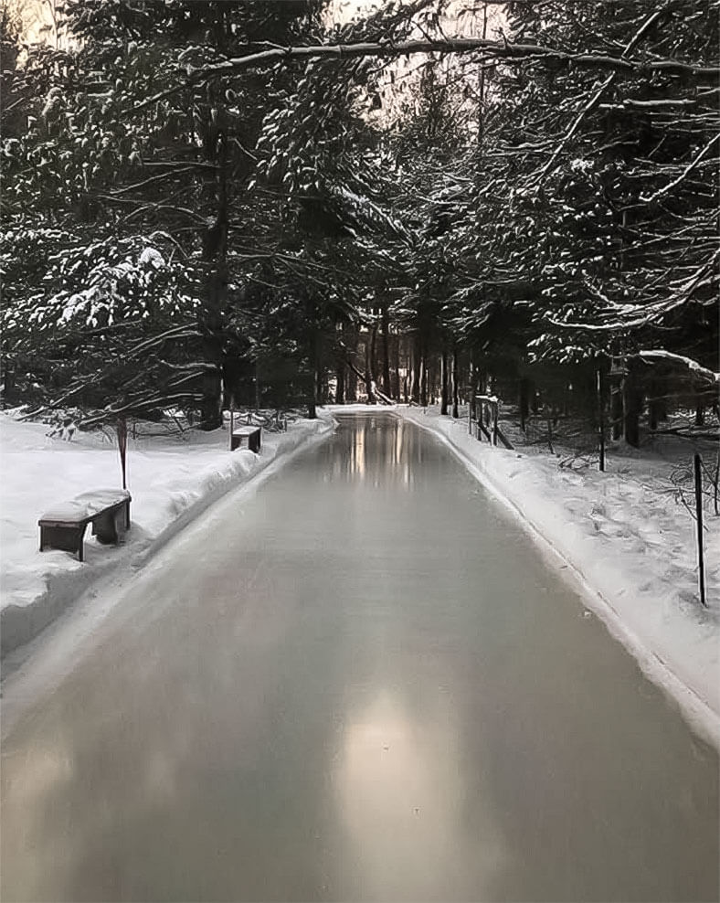 patinage en forêt